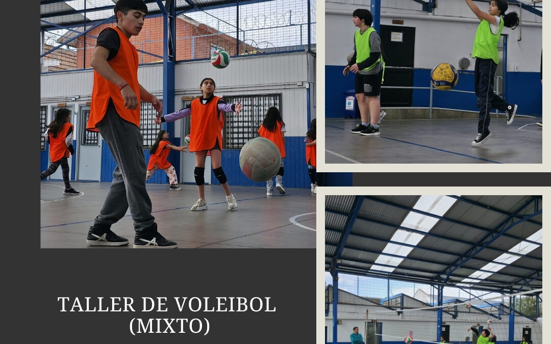 Taller de Voleibol