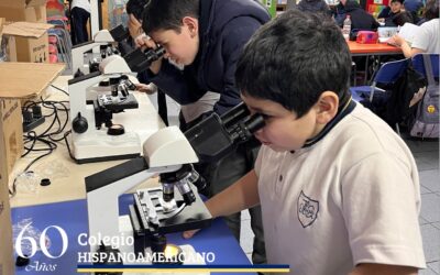 5° Básico B descubre el Fascinante Universo de los Microorganismos.