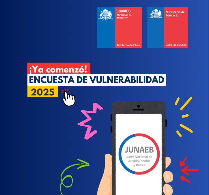 Encuesta de Vulnerabilidad 2025