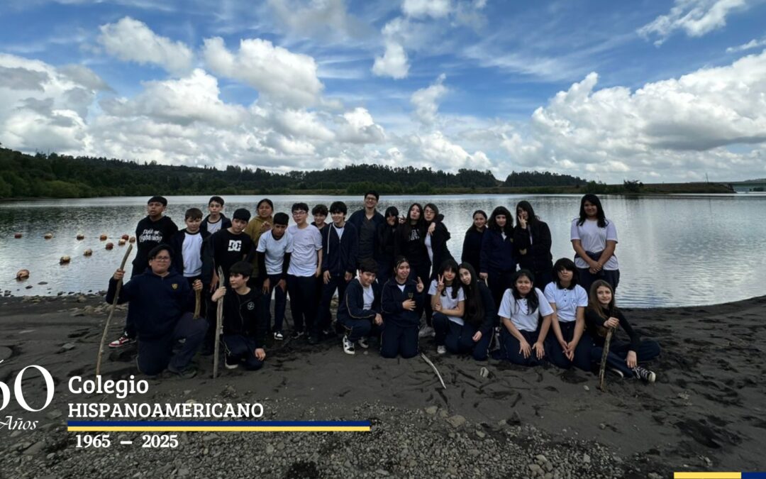 Salida Educativa 6° Básico B – Tour de la Energía, Alto Biobío.