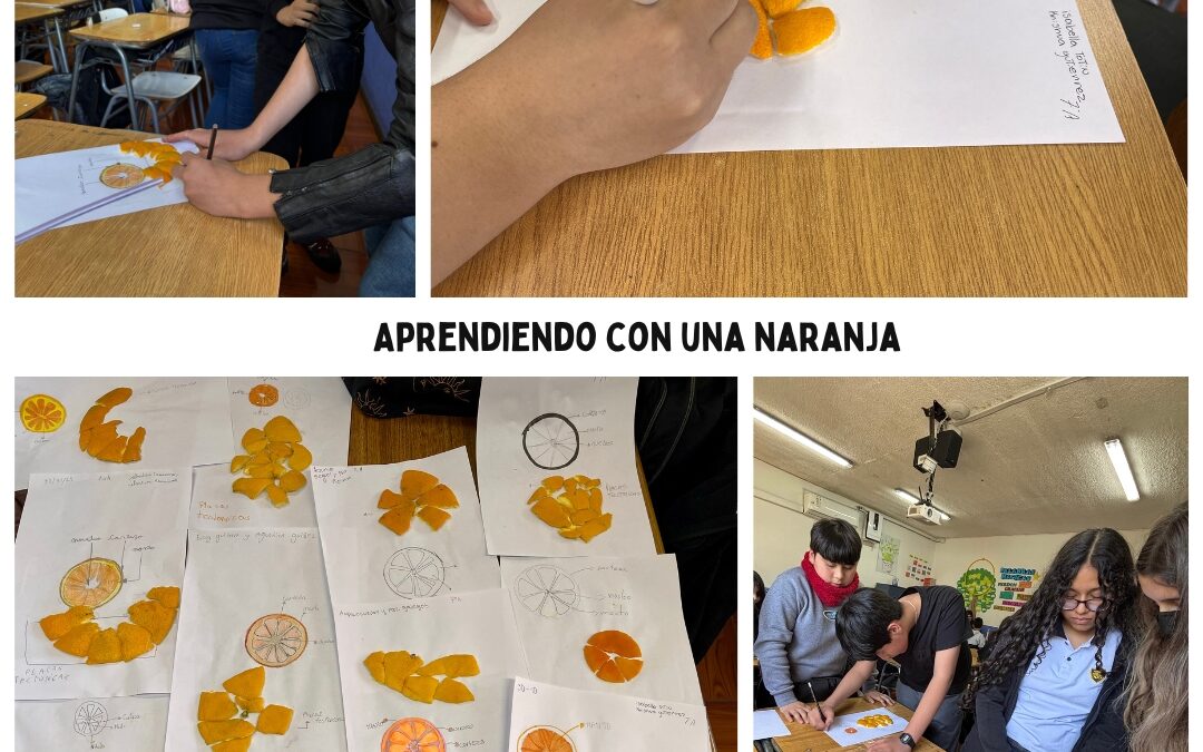 🌎 Capas de la Tierra y las Placas Tectónicas junto a 7°A